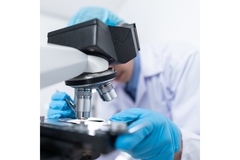 Image A scientist looking into a microscope.